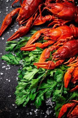 Maydanozlu haşlanmış kerevit. Siyah bir arka planda. Yüksek kalite fotoğraf