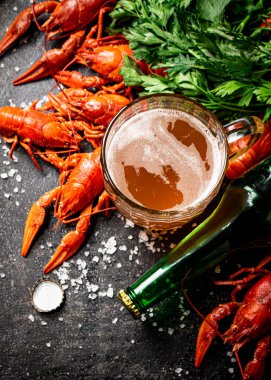 Boiled crayfish with a glass of beer. On a black background. High quality photo clipart