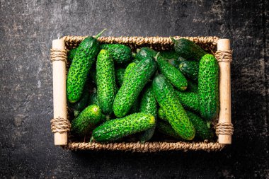 Sepette taze salatalık. Siyah bir arka planda. Yüksek kalite fotoğraf