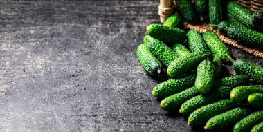 Masada olgun küçük salatalıklar var. Siyah bir arka planda. Yüksek kalite fotoğraf