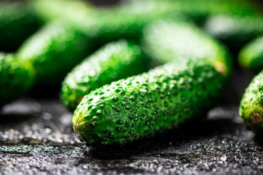 Masada olgun küçük salatalıklar var. Siyah bir arka planda. Yüksek kalite fotoğraf