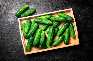 Bir avuç taze ev yapımı salatalık. Siyah bir arka planda. Yüksek kalite fotoğraf