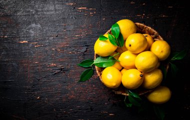 Olgun limon ve yapraklarla dolu bir sepet. Kırsal bir arka planda. Yüksek kalite fotoğraf