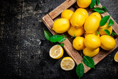 Tahta tepside yapraklı limonlar. Siyah bir arka planda. Yüksek kalite fotoğraf