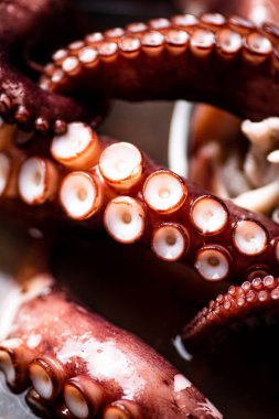 Ahtapotun dokunaçları suda kaynamış. Makro arka plan. Ahtapot dokusu. Yüksek kalite fotoğraf