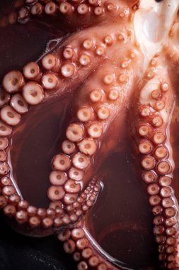 Ahtapotun dokunaçları suda kaynamış. Makro arka plan. Ahtapot dokusu. Yüksek kalite fotoğraf