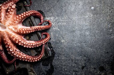 Kesme tahtasındaki taze ahtapot dokunaçları. Siyah bir arka planda. Yüksek kalite fotoğraf