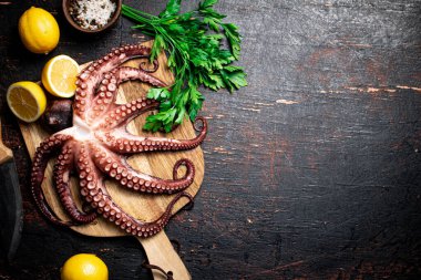 Ahtapot ahşap kesim tahtasının üzerinde. Kırsal bir arka planda. Yüksek kalite fotoğraf