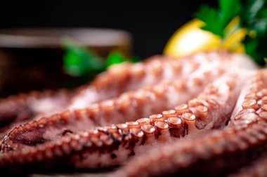 Maydanozlu ahtapot dokunaçları. Makro arka plan. Yüksek kalite fotoğraf