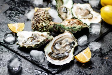 Taş tahtada çiğ istiridye. Siyah bir arka planda. Yüksek kalite fotoğraf