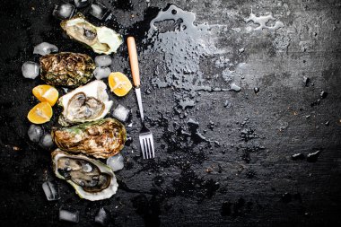 Limonlu ve buzlu istiridye. Siyah, nemli bir arka planda. Yüksek kalite fotoğraf