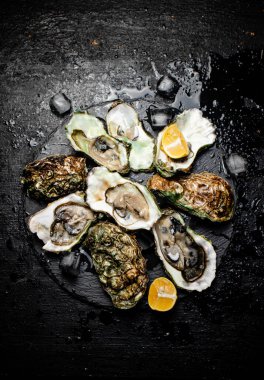 Taş tahtada çiğ istiridye. Siyah bir arka planda. Yüksek kalite fotoğraf