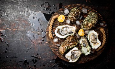 Tahta tepside buz küplü istiridye. Kırsal bir arka planda. Yüksek kalite fotoğraf