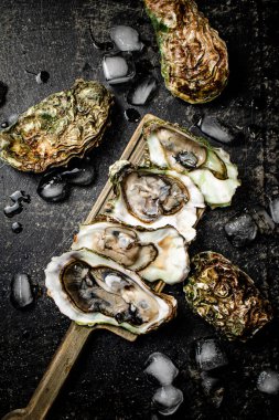 Kesme tahtasındaki buzlu taze istiridyeler. Siyah bir arka planda. Yüksek kalite fotoğraf