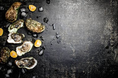 Buz ve limonlu istiridye. Siyah bir arka planda. Yüksek kalite fotoğraf