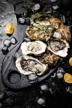 Kesme tahtasında taze istiridye. Siyah bir arka planda. Yüksek kalite fotoğraf