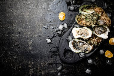 Kesme tahtasında taze istiridye. Siyah bir arka planda. Yüksek kalite fotoğraf