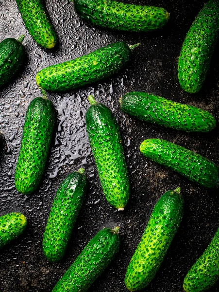 Ripe Little Cucumbers Table Black Background High Quality Photo — Stock Photo, Image