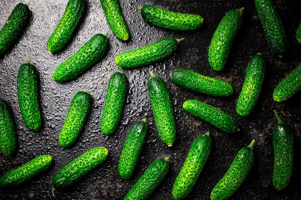Rijp Kleine Komkommers Tafel Een Zwarte Achtergrond Hoge Kwaliteit Foto — Stockfoto