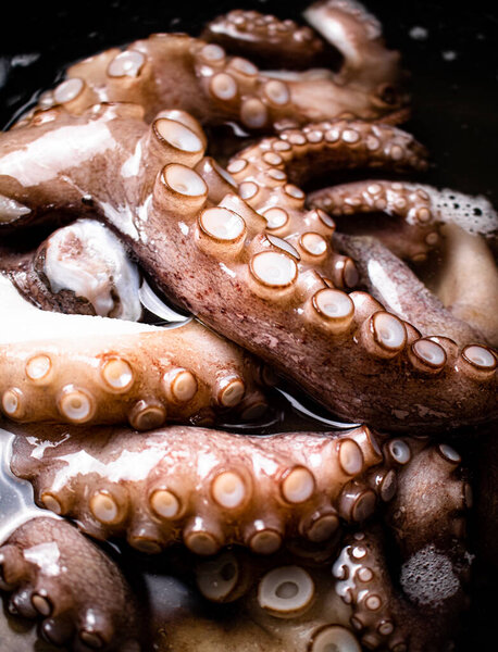 The tentacles of the octopus are boiled in water. Macro background. Octopus texture. High quality photo