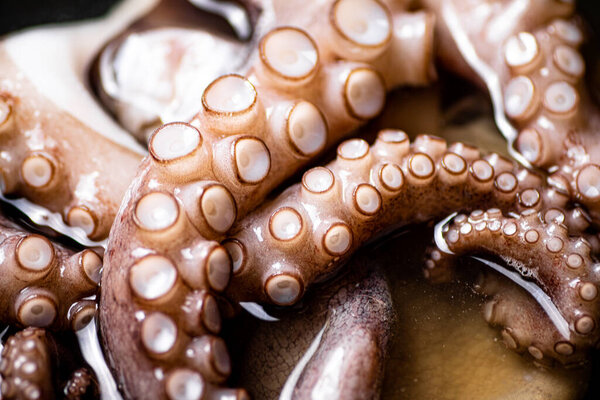 The tentacles of the octopus are boiled in water. Macro background. Octopus texture. High quality photo