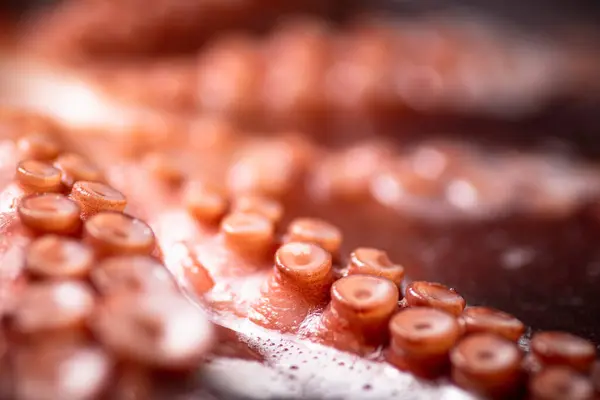 Tentacles Octopus Boiled Water Macro Background Octopus Texture High Quality — Fotografia de Stock