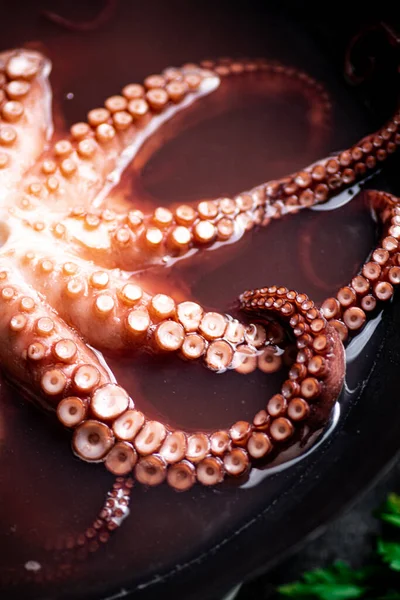 Octopus Ferve Pote Água Num Fundo Rústico Foto Alta Qualidade — Fotografia de Stock