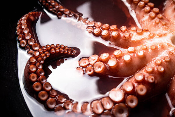 The tentacles of the octopus are boiled in water. Macro background. Octopus texture. High quality photo