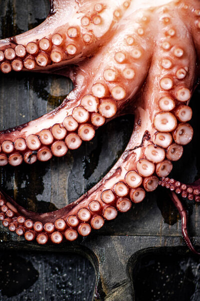 Tentacles of a fresh octopus on a cutting board. On a black background. High quality photo