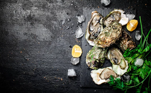 Fresh Oysters Greens Black Background High Quality Photo — стоковое фото