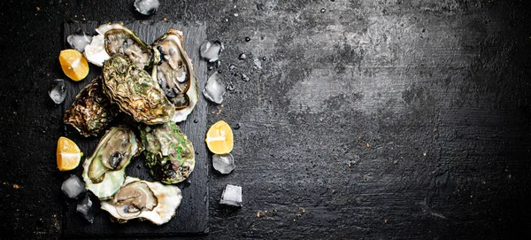 Raw Oysters Stone Board Black Background High Quality Photo — стоковое фото