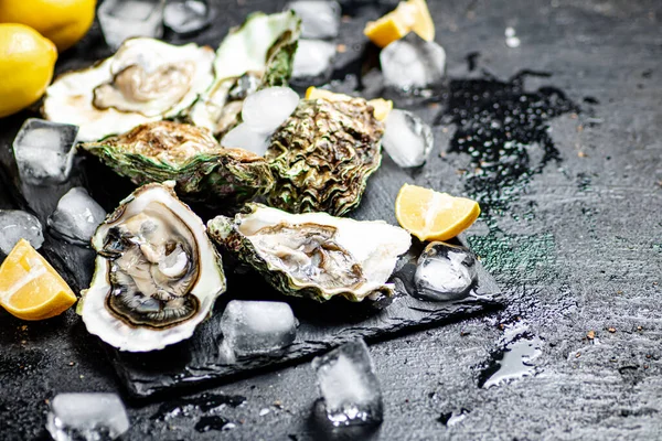 Raw Oysters Stone Board Black Background High Quality Photo — Stock Photo, Image