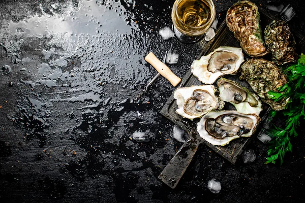 Fresh Oysters Greens Black Background High Quality Photo — Stock Photo, Image