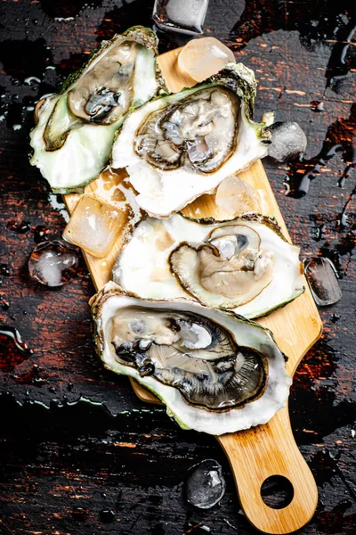 Oysters Wooden Cutting Board Rustic Dark Damp Background High Quality — стоковое фото