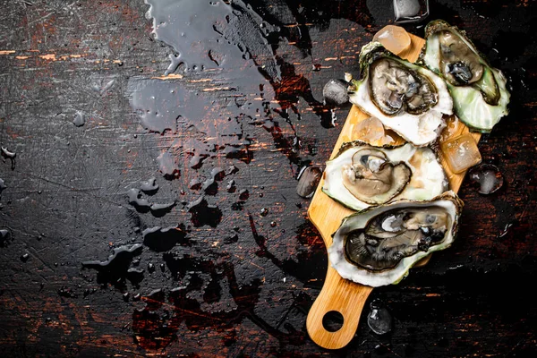 Oysters Wooden Cutting Board Rustic Dark Damp Background High Quality — стоковое фото