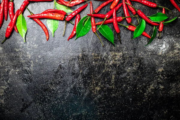 stock image Chili peppers with leaves. On a black background. High quality photo