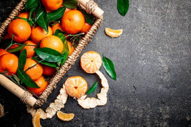 Sepette yaprakları olan olgun mandalinalar. Siyah bir arka planda. Yüksek kalite fotoğraf