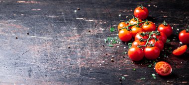 Yeşil ve baharatlı bir dalda domates. Karanlık bir arka plana karşı. Yüksek kalite fotoğraf