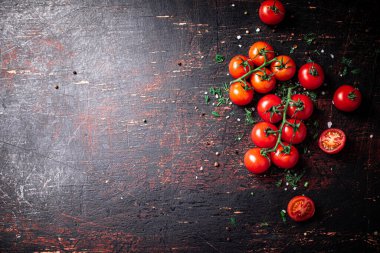 Yeşil ve baharatlı bir dalda domates. Karanlık bir arka plana karşı. Yüksek kalite fotoğraf