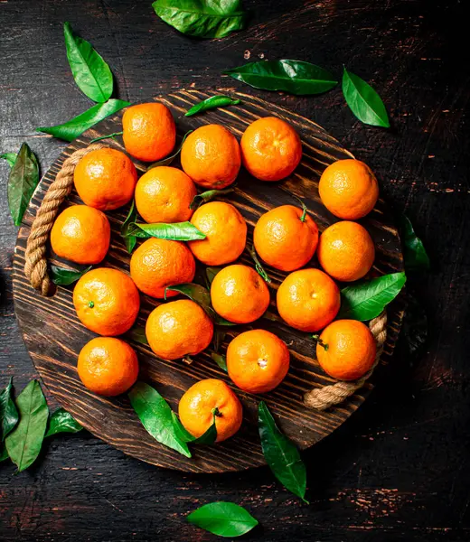 stock image Juicy tangerines with leaves on a wooden tray. On a rustic dark background. High quality photo