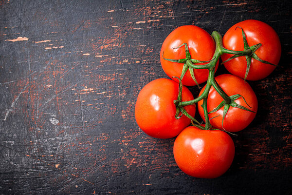 Fresh fragrant tomatoes on a branch. Against a dark background. High quality photo