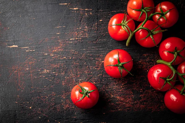 stock image Fresh fragrant tomatoes on a branch. Against a dark background. High quality photo