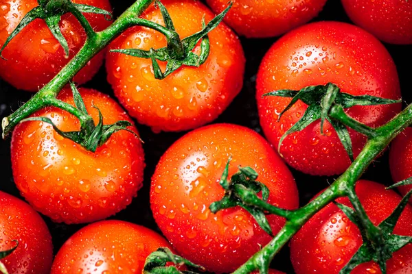 Dojrzałe Pomidory Kroplami Wody Makro Tło Wysokiej Jakości Zdjęcie — Zdjęcie stockowe