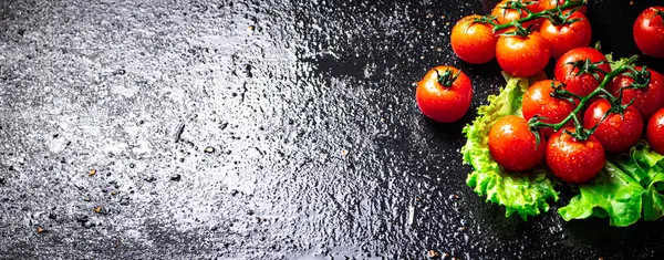 Ωρίμασε Ντομάτες Ένα Κλαδί Ένα Φύλλο Μαρουλιού Μαύρο Φόντο Υψηλής — Φωτογραφία Αρχείου