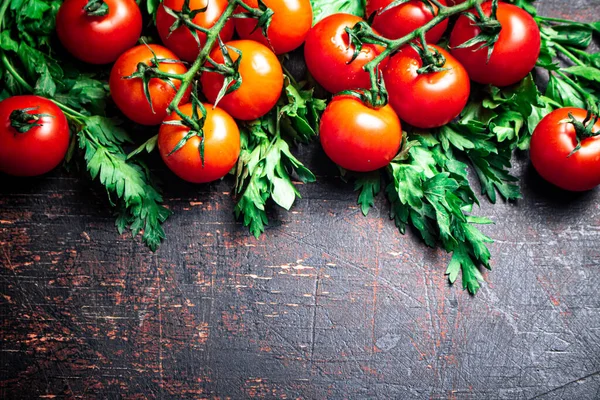 Tomates Frescos Ramo Com Salsa Contra Fundo Escuro Foto Alta — Fotografia de Stock