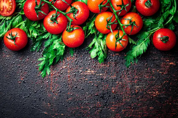 Tomates Fraîches Sur Une Branche Persil Sur Fond Sombre Photo — Photo