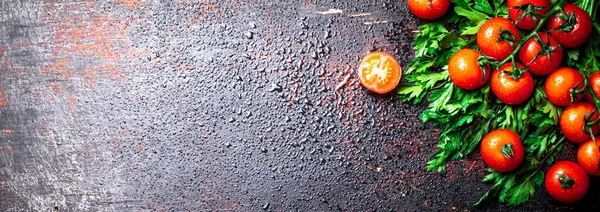 Färska Tomater Gren Med Persilja Mot Mörk Bakgrund Högkvalitativt Foto — Stockfoto