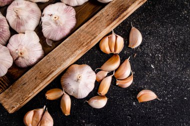 Heads and cloves of fresh garlic. On a black background. High quality photo