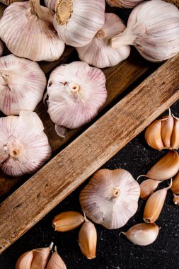 Heads and cloves of fresh garlic. On a black background. High quality photo