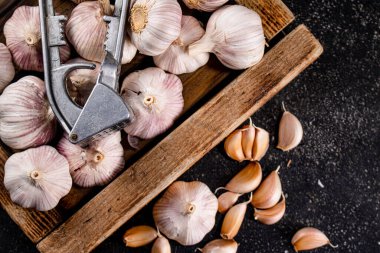 Garlic on a wooden tray with a garlic press. On a black background. High quality photo